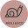 MOLLUSCHI