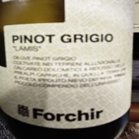 PINOT GRIGIO FORCHIR